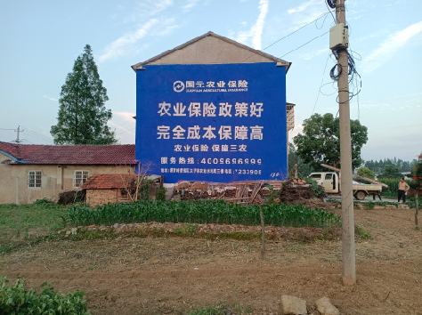 万载墙体广告为何受追捧？